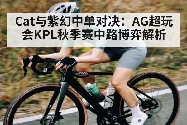 Cat与紫幻中单对决：AG超玩会KPL秋季赛中路博弈解析